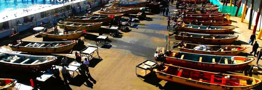 A marina with numerous small boats docked in rows. 4