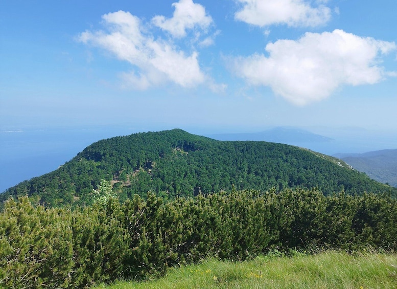 A lush green mountain with a clear sky and distant mountains. 1