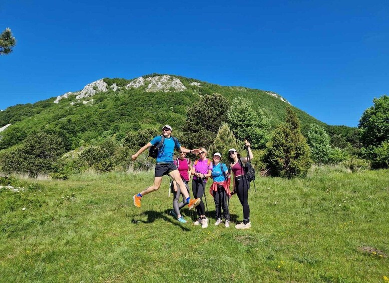 A group of hikers on a grassy field with a mountain in the background. 3