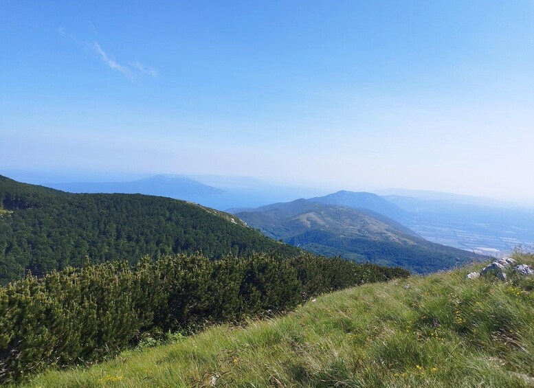 A mountainous landscape with dense forests and a clear sky. 2