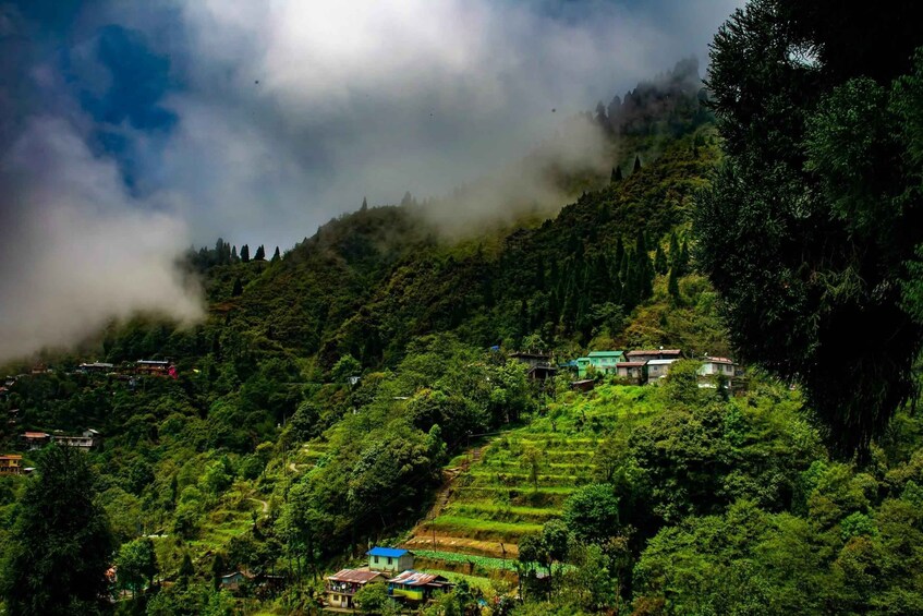 Terraced fields, houses, and a mountainous landscape with clouds. 5