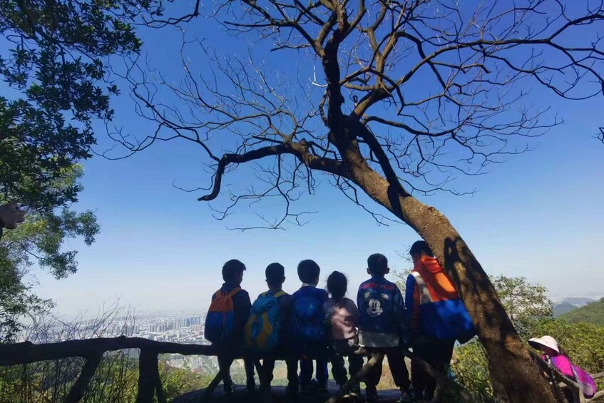 A group of children with backpacks standing under a tree, overlooking a cityscape. 3