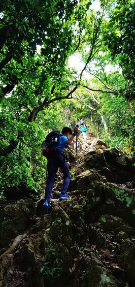 A person hiking through a forest with dense green foliage and large rocks. 5