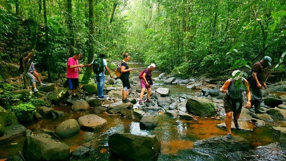 A group of hikers crossing a rocky stream in a forested area. 1