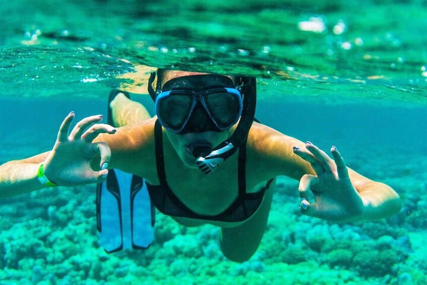 A person snorkeling underwater. 1
