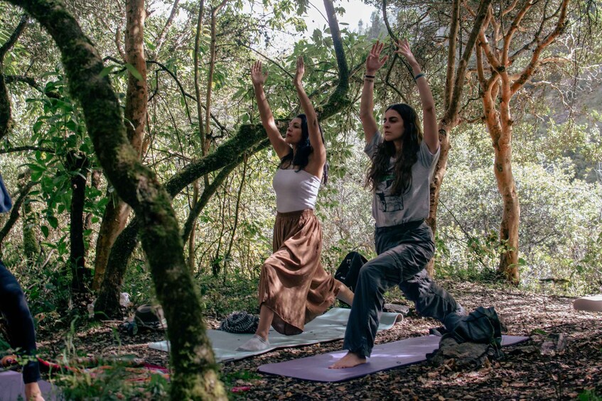 Two people practicing yoga outdoors on mats in a forest. 1