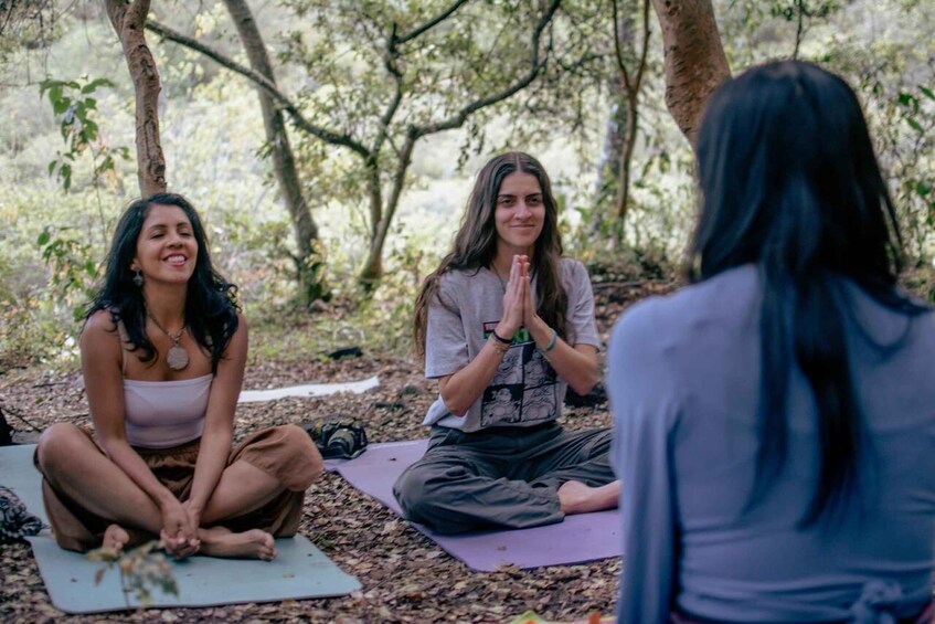 Three people sitting on yoga mats in a forest. 4