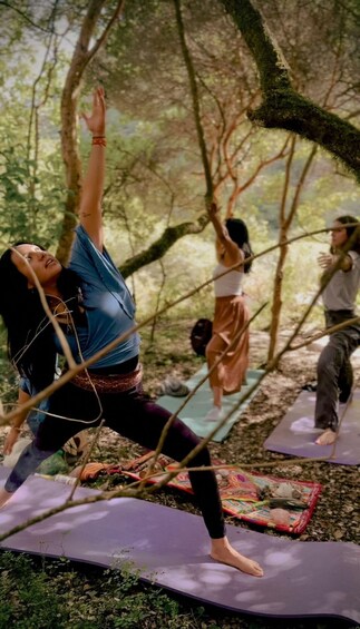 People practicing yoga outdoors on mats under trees. 2