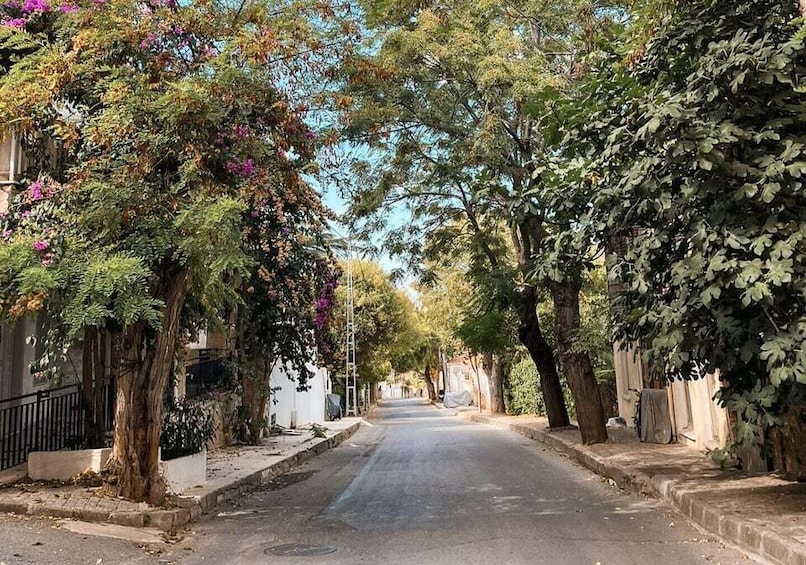 A tree-lined street with houses on both sides. 1