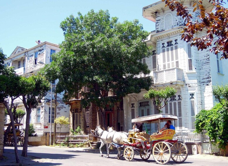 A horse-drawn carriage on a street with historic buildings and trees. 5