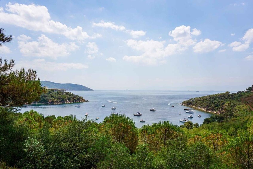 A coastal landscape with boats on the water, dense greenery, and a distant mountain. 2