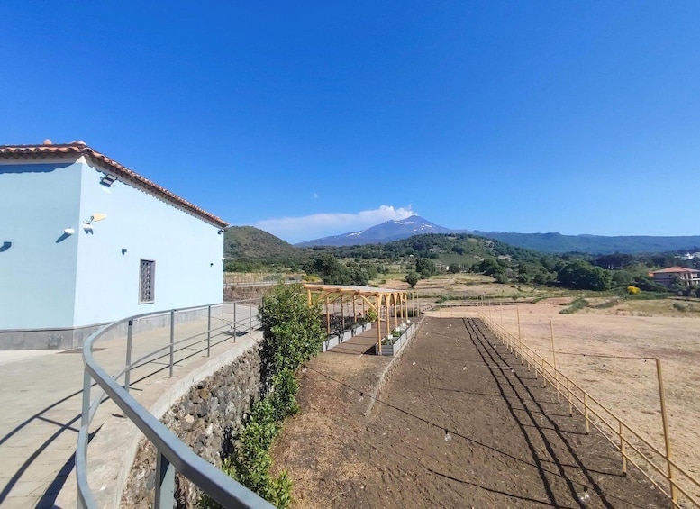 A blue building with a metal railing, a wooden pergola, and a view of a mountain. 5