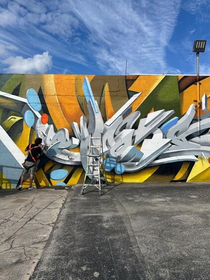 Un artista di strada dipinge un grande murale su un muro. 5
