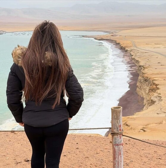 A person standing on a cliff overlooking a beach with waves crashing onto the shore. 4