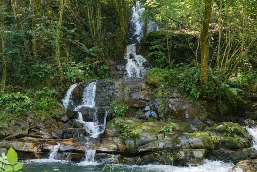 A multi-tiered waterfall surrounded by dense forest. 2