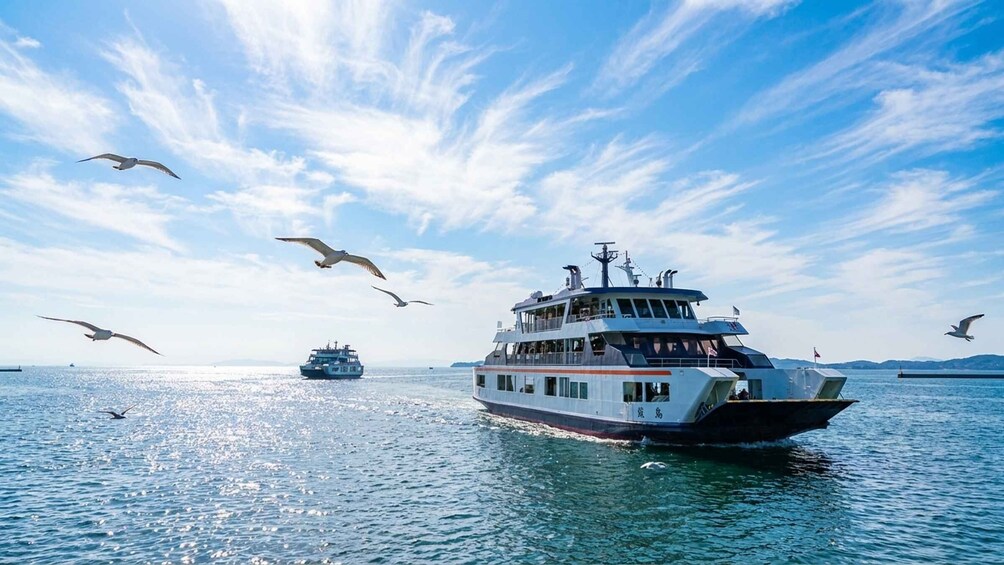 A ferry boat on calm waters with seagulls flying overhead and another boat in the distance. 5