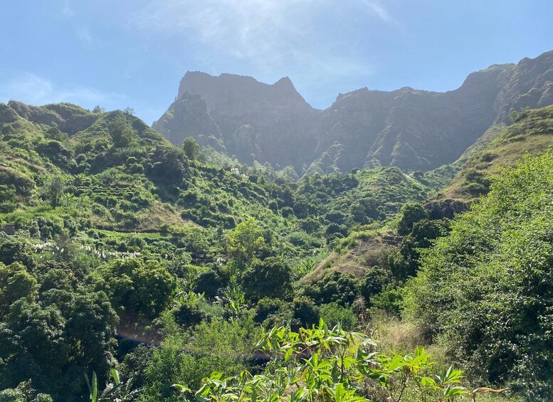 A mountainous landscape with dense greenery and rugged terrain. 3