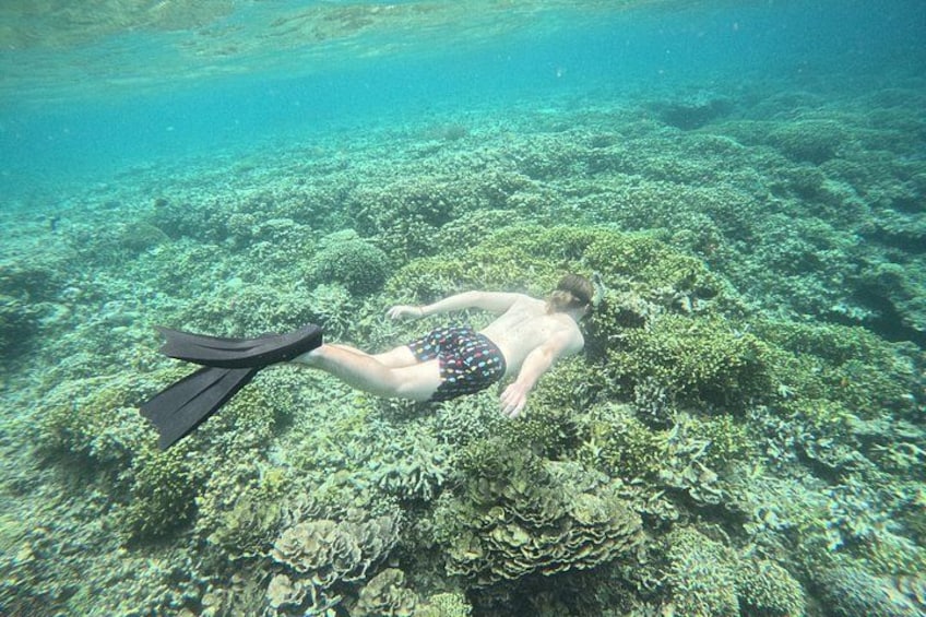 A person snorkeling underwater with coral reefs. 3