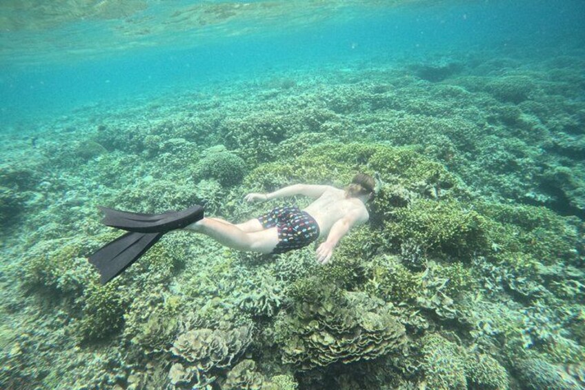 A person snorkeling underwater near a coral reef. 3