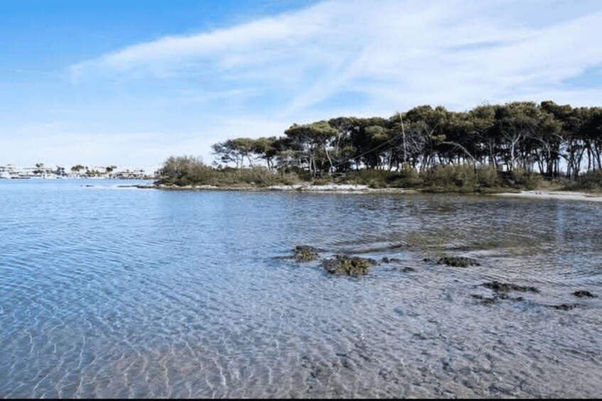 A calm lake with clear water, surrounded by trees and a distant shoreline. 4