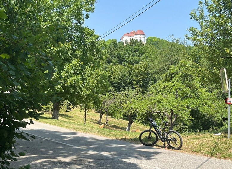 A road with a bicycle parked on the side, surrounded by lush greenery and a castle in the background. 4