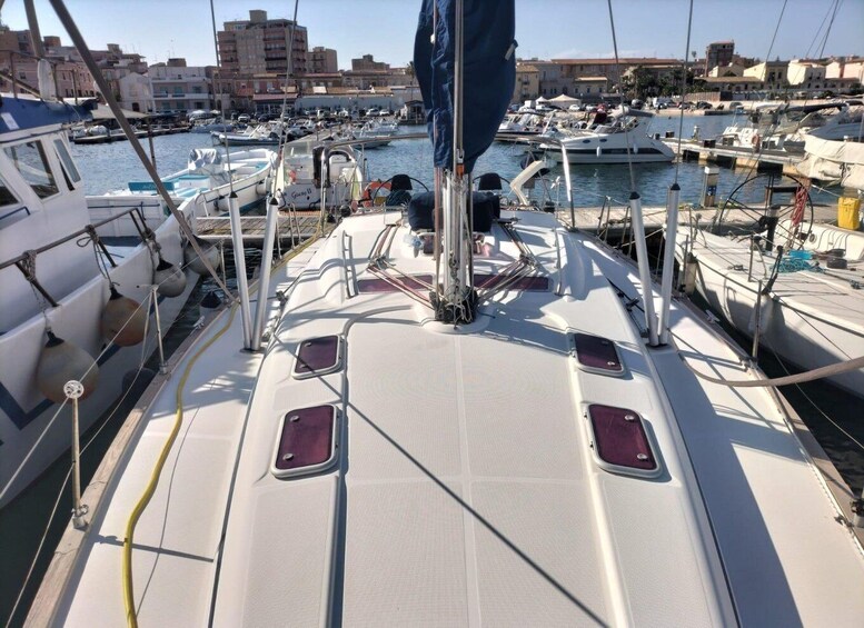 A marina with multiple sailboats docked. 3