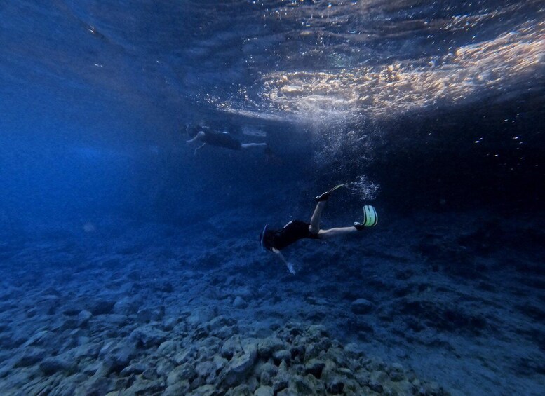 A diver underwater with a rocky seabed. 3