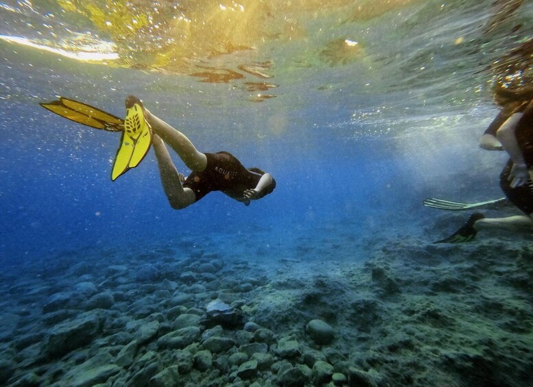 A diver underwater with fins, surrounded by a rocky seabed. 1