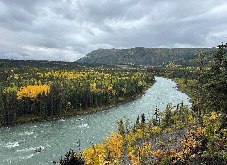 A river winding through a forest with autumn foliage. 2