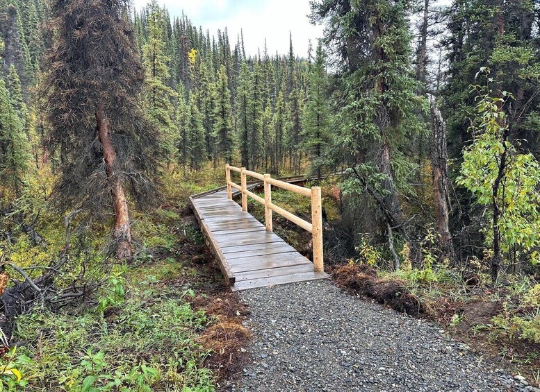 A wooden bridge in a forest. 5