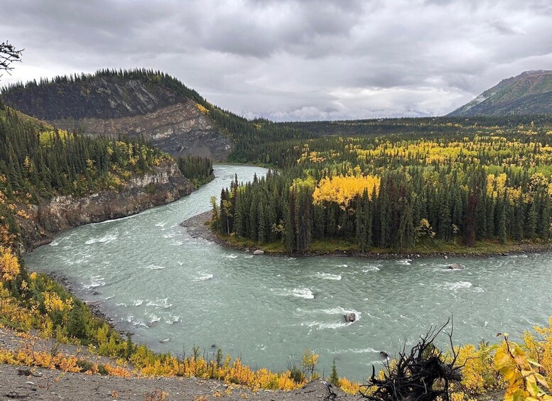 A river winding through a forested valley with autumn foliage. 1