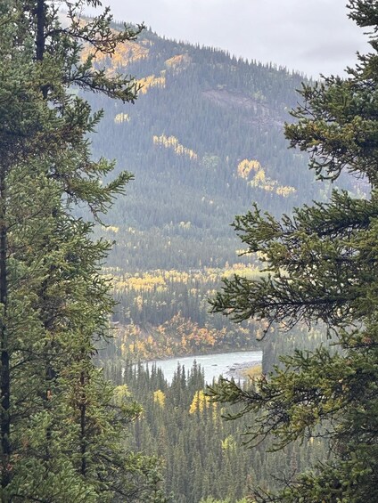 A forested mountain landscape with a river in the foreground. 4