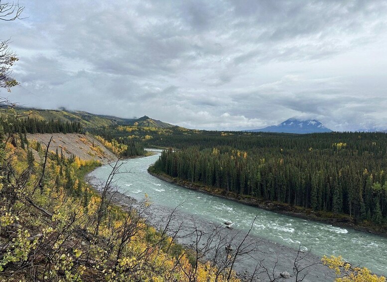 A river winding through a forested valley with mountains in the background. 3