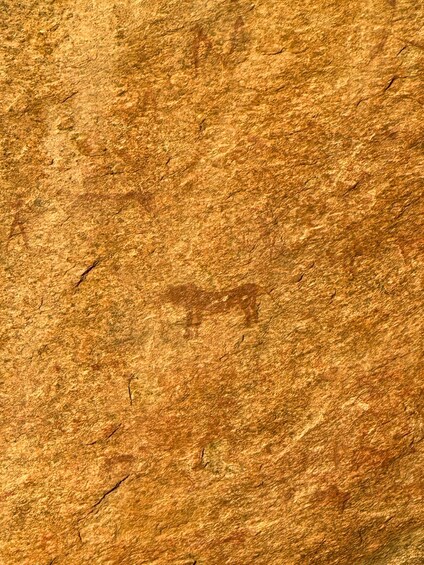 A textured surface with a pattern resembling a map or topographical lines. 4