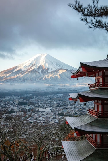 A snow-capped mountain, traditional Japanese architecture, and a town below. 1