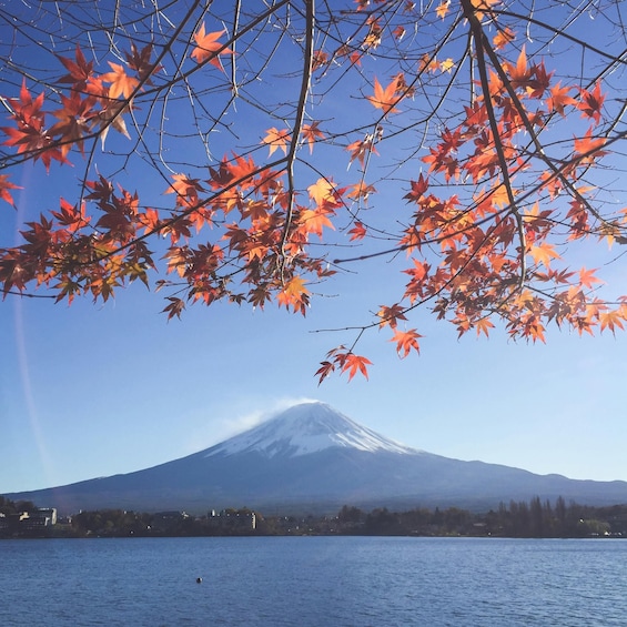 A mountain with autumn leaves in the foreground and a clear sky. 3