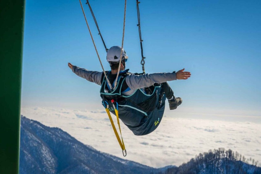 A person skydiving with outstretched arms, parachute, and mountainous landscape below. 5