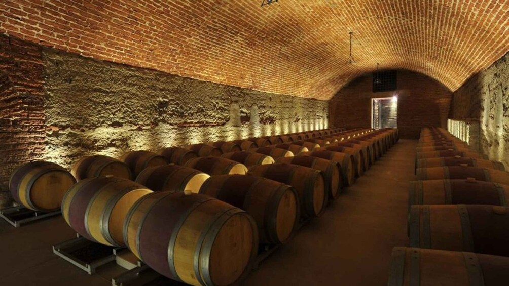 A wine cellar with rows of wooden barrels and a brick ceiling. 3