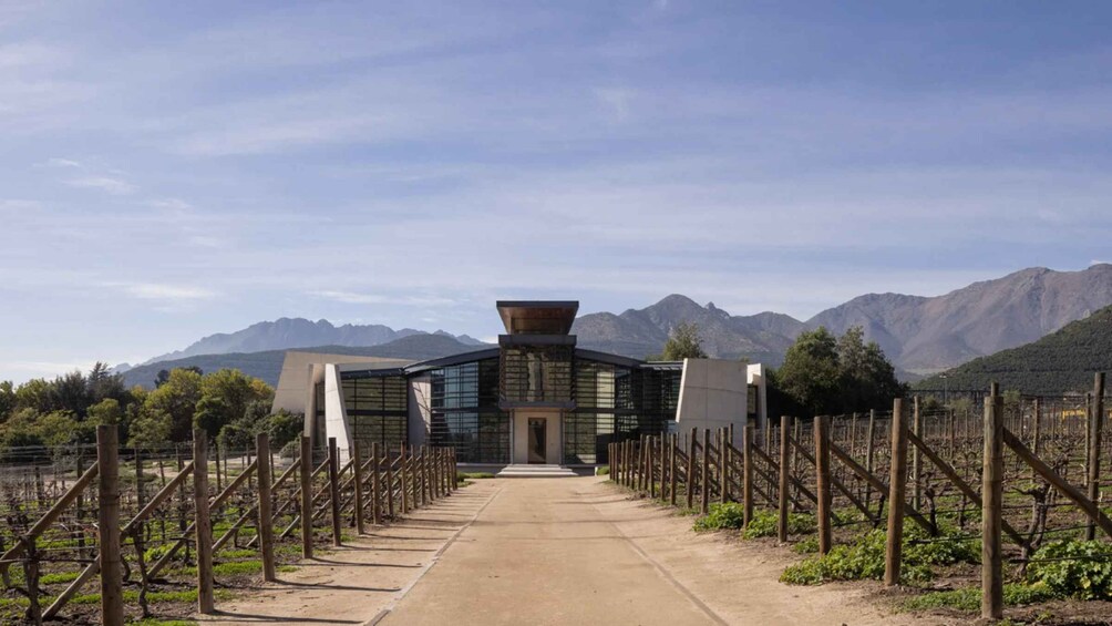 A vineyard with rows of grapevines and a modern building in the center. 5