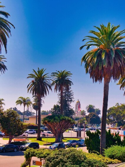 A parking lot with palm trees, a building with a dome, and a clear blue sky. 2