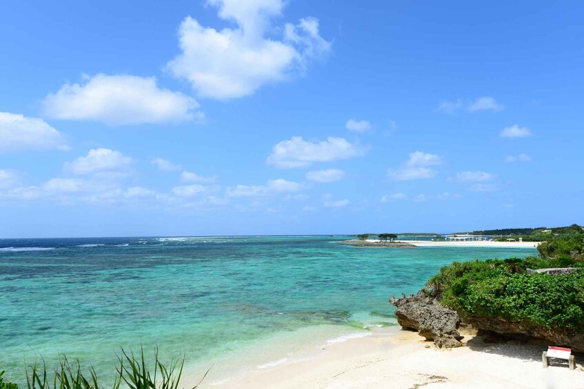 A clear blue sky, turquoise sea, sandy beach, and a rocky outcrop with greenery. 4