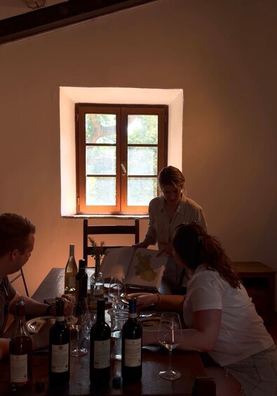 A dining table with wine bottles and glasses, a window with sunlight, and two people interacting. 2
