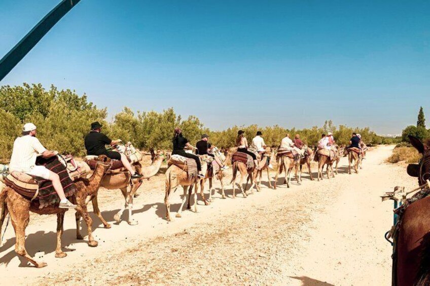 A group of people riding camels on a dirt road in a desert landscape. 3