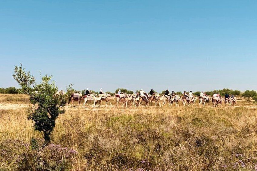 A group of riders on horseback in a grassy field with sparse trees. 2