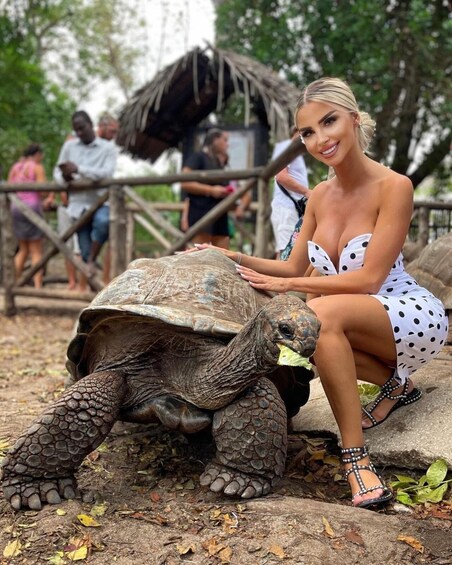 A person sitting on a tortoise in a natural setting with a wooden structure in the background. 3
