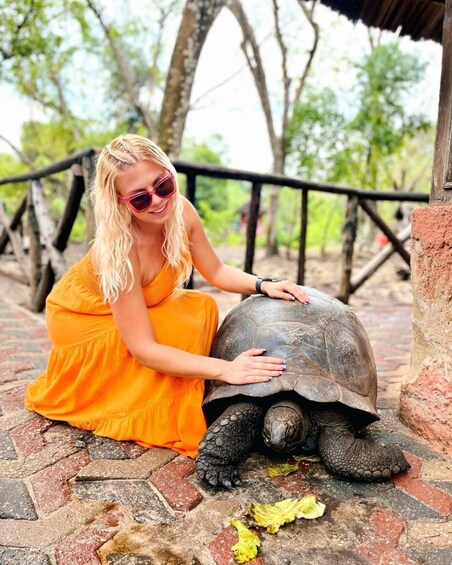 A woman in an orange dress petting a tortoise on a brick pathway. 1