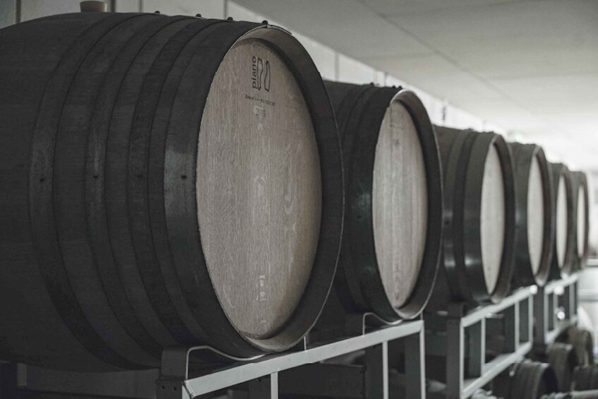 A row of wooden barrels with 'piano' and '2019' labels, likely for wine storage. 3