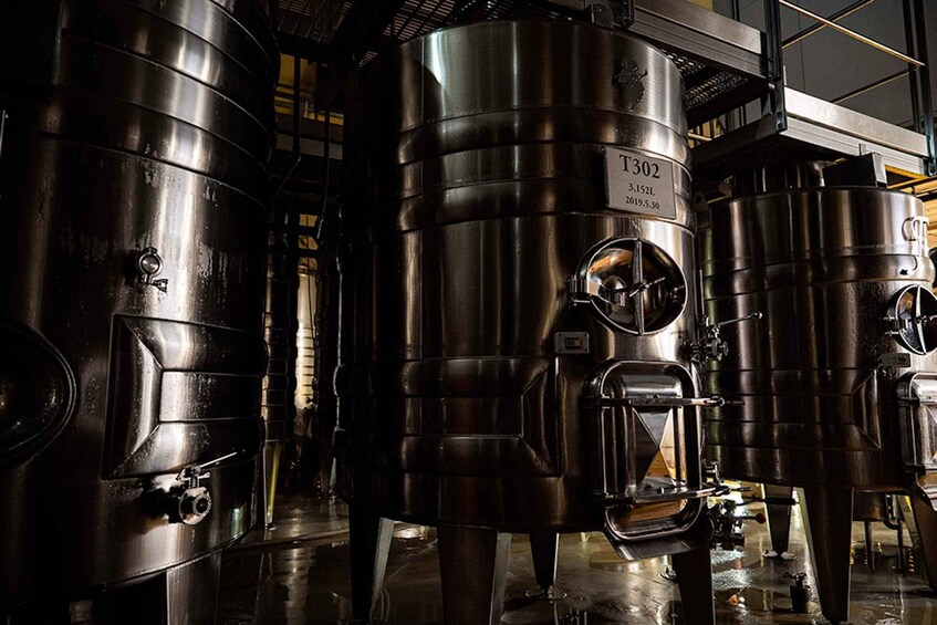 Stainless steel fermentation tanks in a brewery. 4