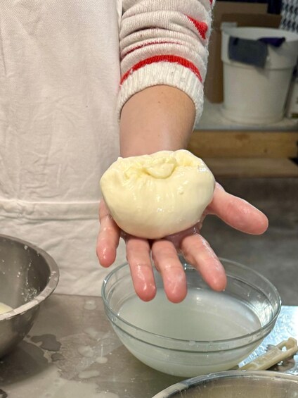 Picture 3 for Activity Lyon: Make your own mozzarella from local raw milk 5