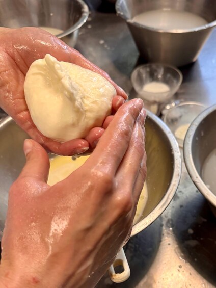 Picture 6 for Activity Lyon: Make your own mozzarella from local raw milk 2